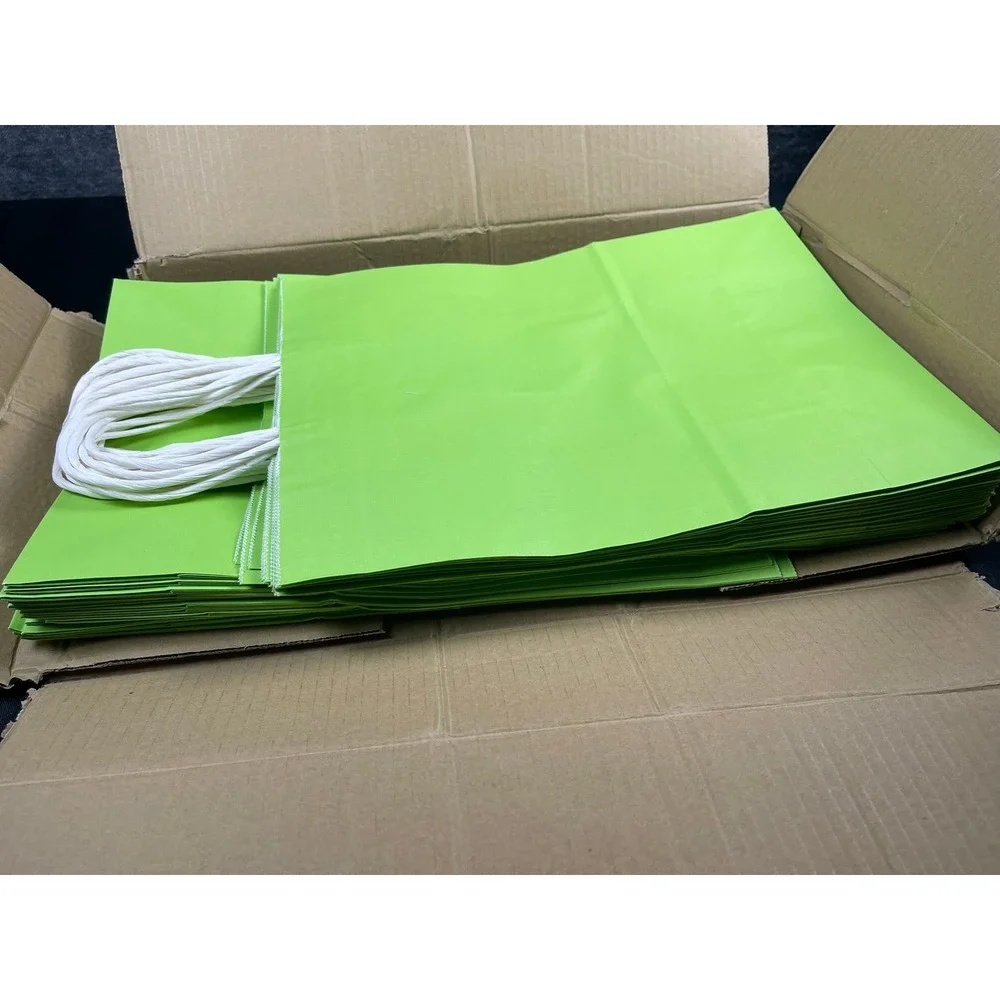 30 Pack Light Green‎ Paper Shopping Bags with Handles 10x13